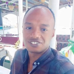 وائل النوبى