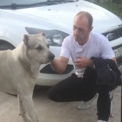 Дима