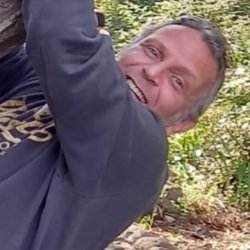 טל