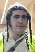 דוד