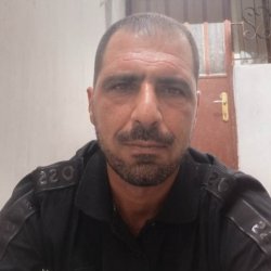 جودت