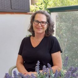 אורלי