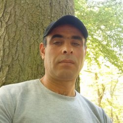 Bakhman