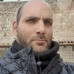 דוד