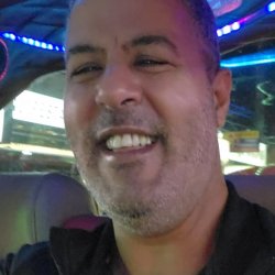 אלון
