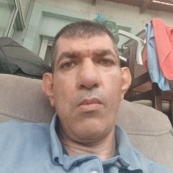 שי שוקתי
