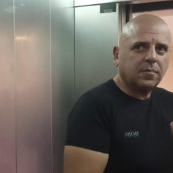 אילן
