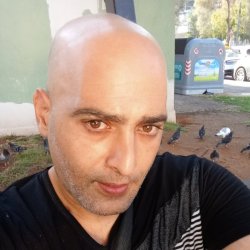 אלי