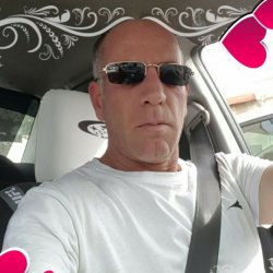 אלי