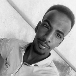Waleed Alsamany