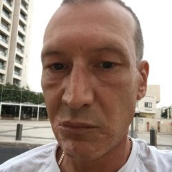 רומן