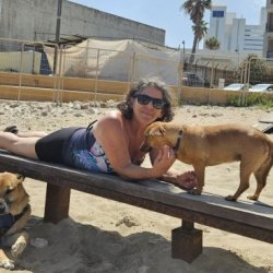 סיגל
