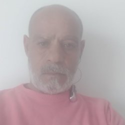 אמיר