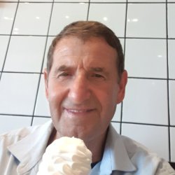 אריה