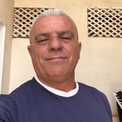 אילן