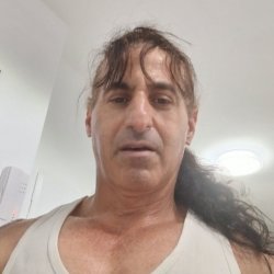 דוד