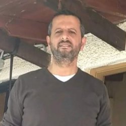 שרון
