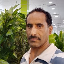 جمال سعيدعلي المهتدي