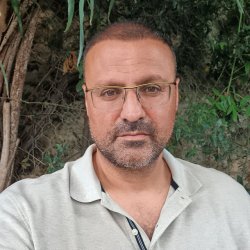 אלון
