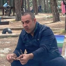 אנאס
