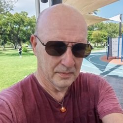 אמיר