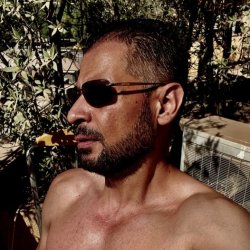 Haider
