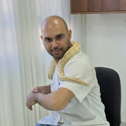 יחיא