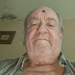 Robert
