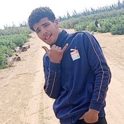 حمو