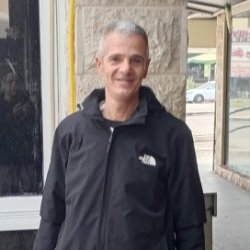 אילן
