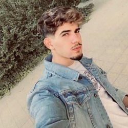 هارلي