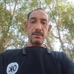 Sayed