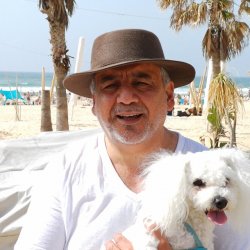 אריאל