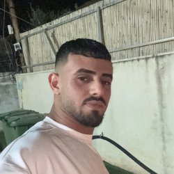 דוד