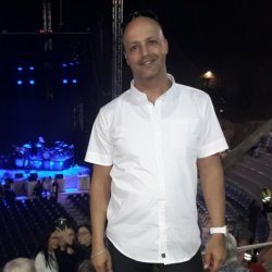 אילן 