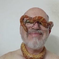 YourGuy
