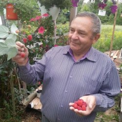 Владимир