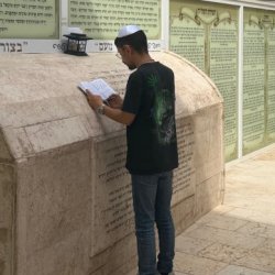 סתיו
