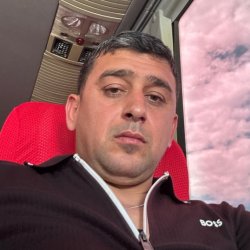 Shahin