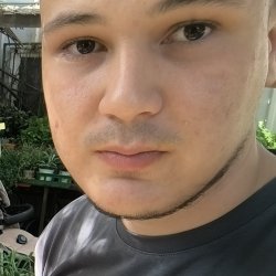 Dima
