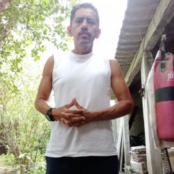 Manfredo