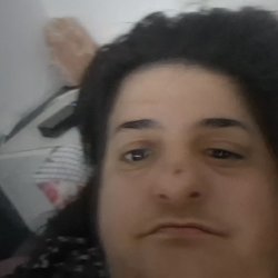 אורטל