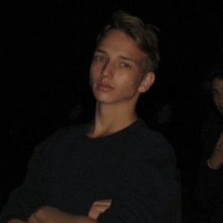Sander