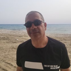 ארז