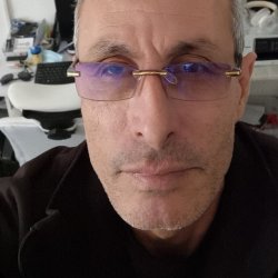 קובי