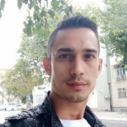 Damir