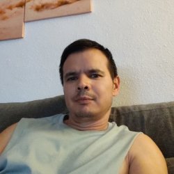 david
