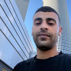 Anas anas