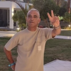שרון