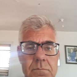 אילן